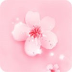 老公牛影视安装包下载大全