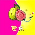 果冻传媒视频在线播放仙踪林