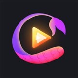 夜色app软件下载入口