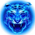 51禁漫最新版app