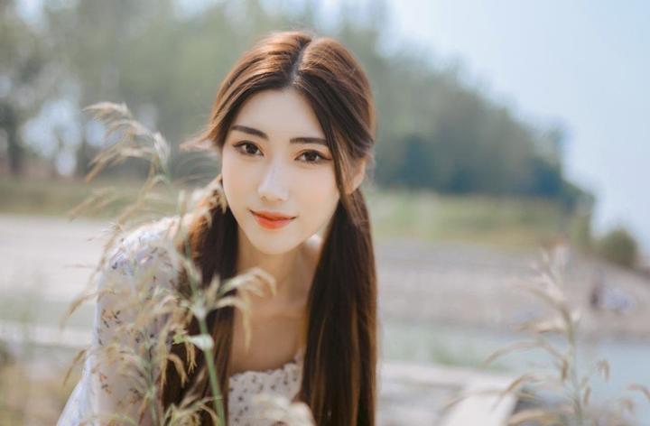主要角色介绍