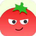 番茄相册大师app下载-番茄相册大师官方版v1.0.0.0
