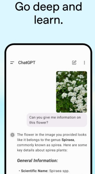 ChatGPT中文免费版1