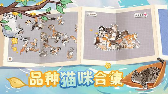 挤在一起的猫猫0