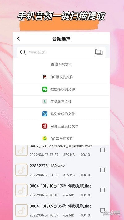 音频格式大师2