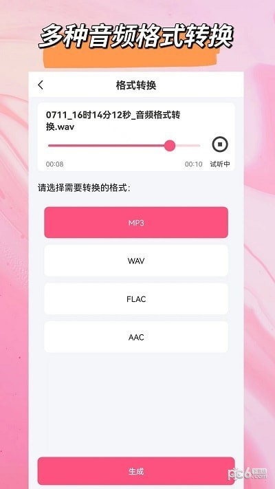 音频格式大师1