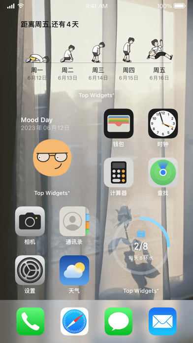 Top Widgets苹果版2