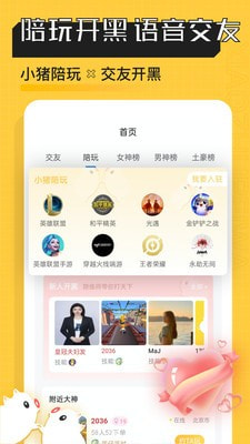 小猪陪玩2
