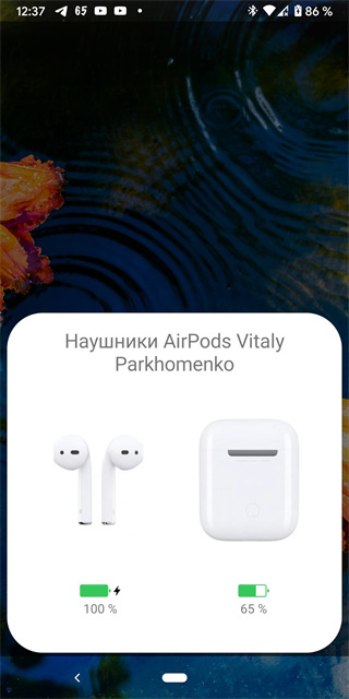 andropods0