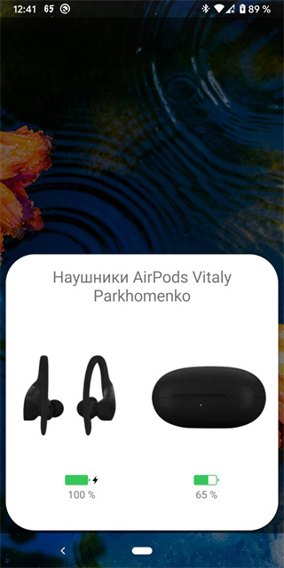 andropods3