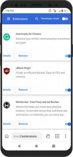 kiwibrowser浏览器2